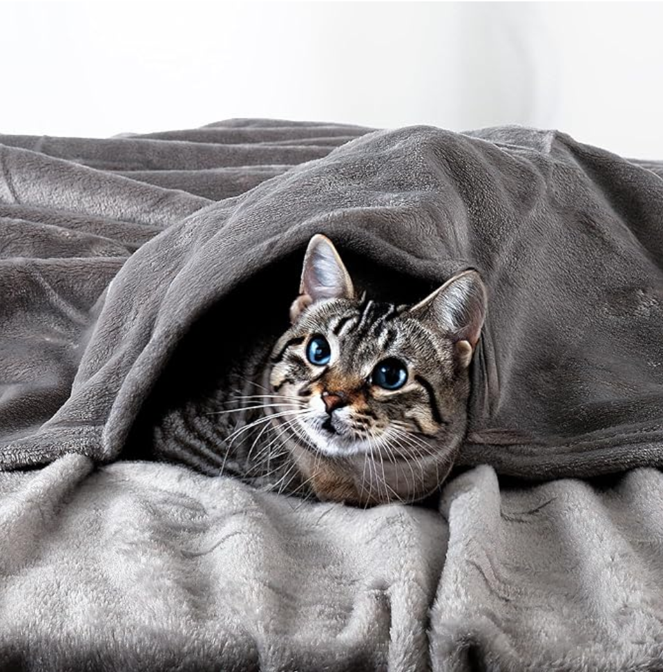 Platinum blanket discount